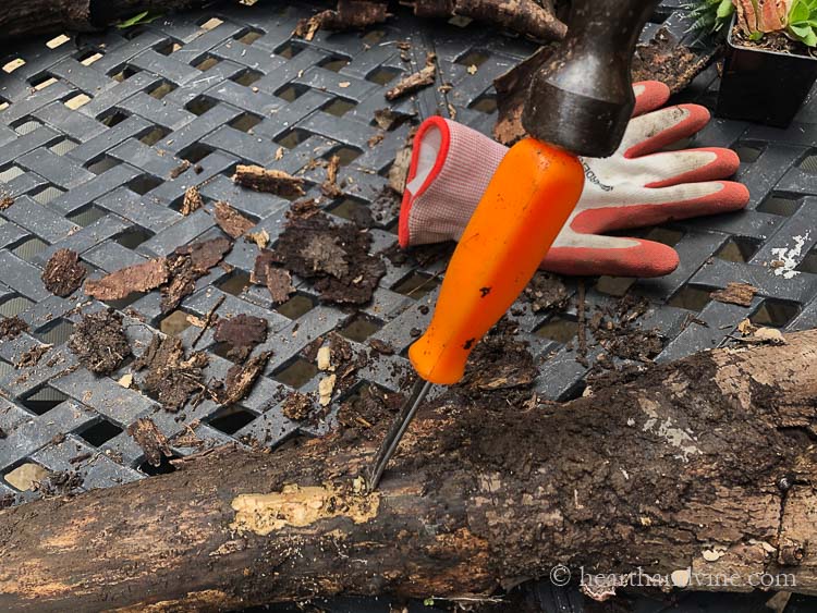 Chiseling log with hammer and screwdriver