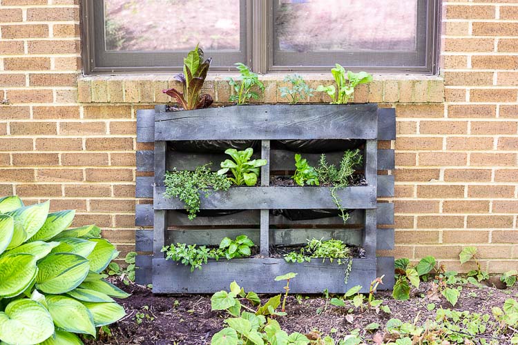 Pallet planter on brick wall in garden.