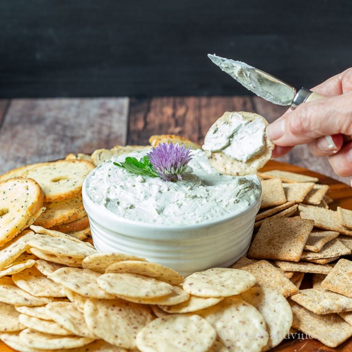Blue cheese spread with crackers on a tray.