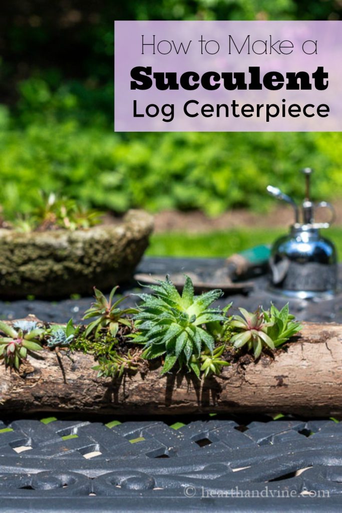 Succulents planted in a log on a table with a plant mister.