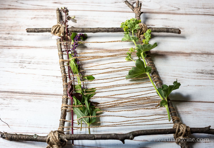 Weaving plant material into the twine weave on the stick frame.