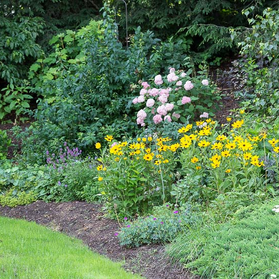 Flower garden on hillside.