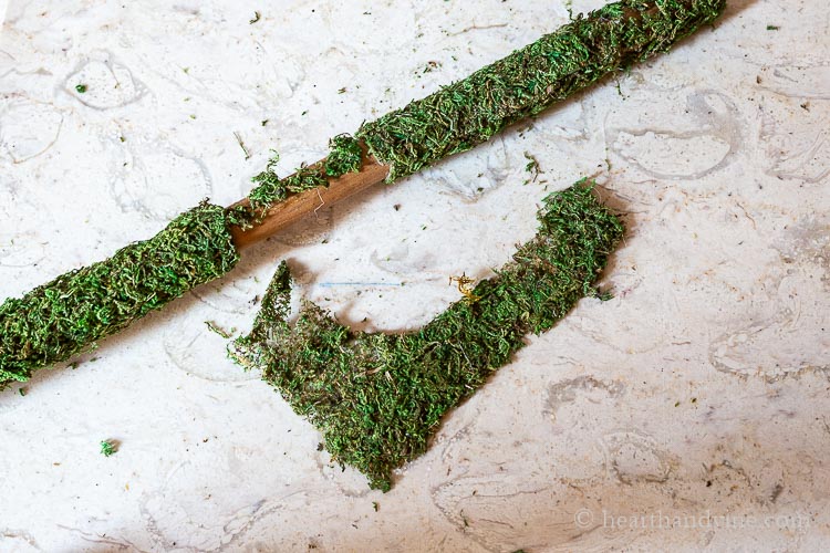 Broom stick covered in moss with a small area uncovered and a piece of moss next to it.