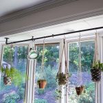 Plants hanging off pipe hanger in window