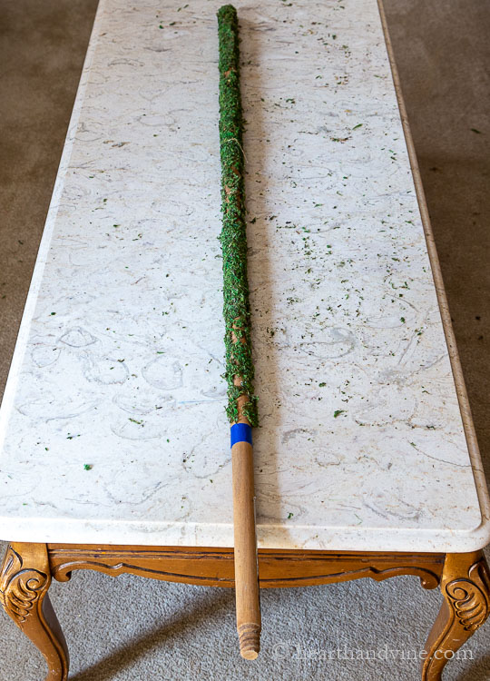 Old broom stick covered mostly with moss until the blue tape area at the bottom on a table.