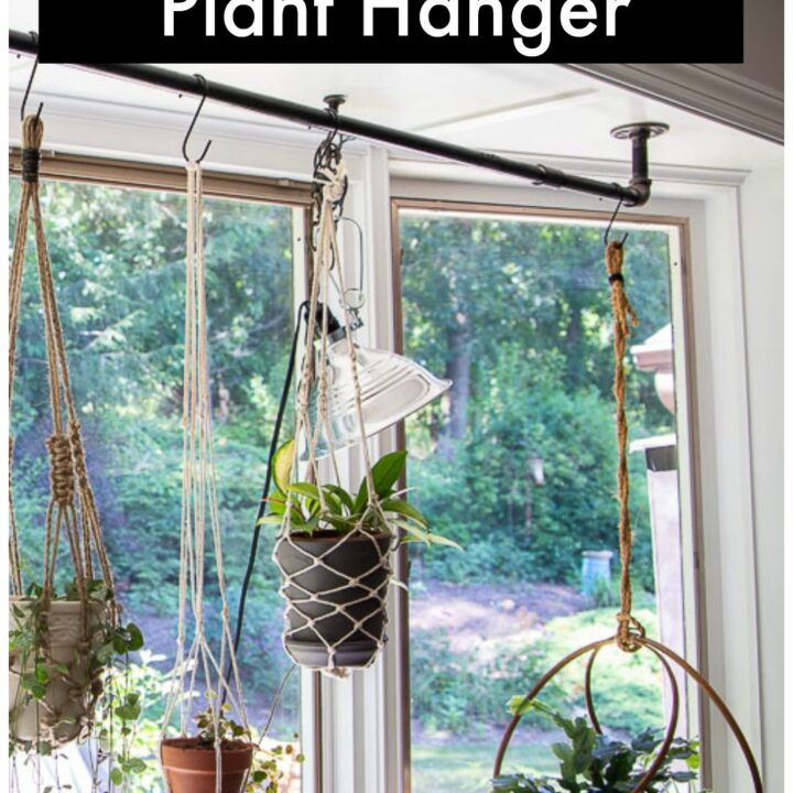 Bay window with hanging plants off a pipe rod.