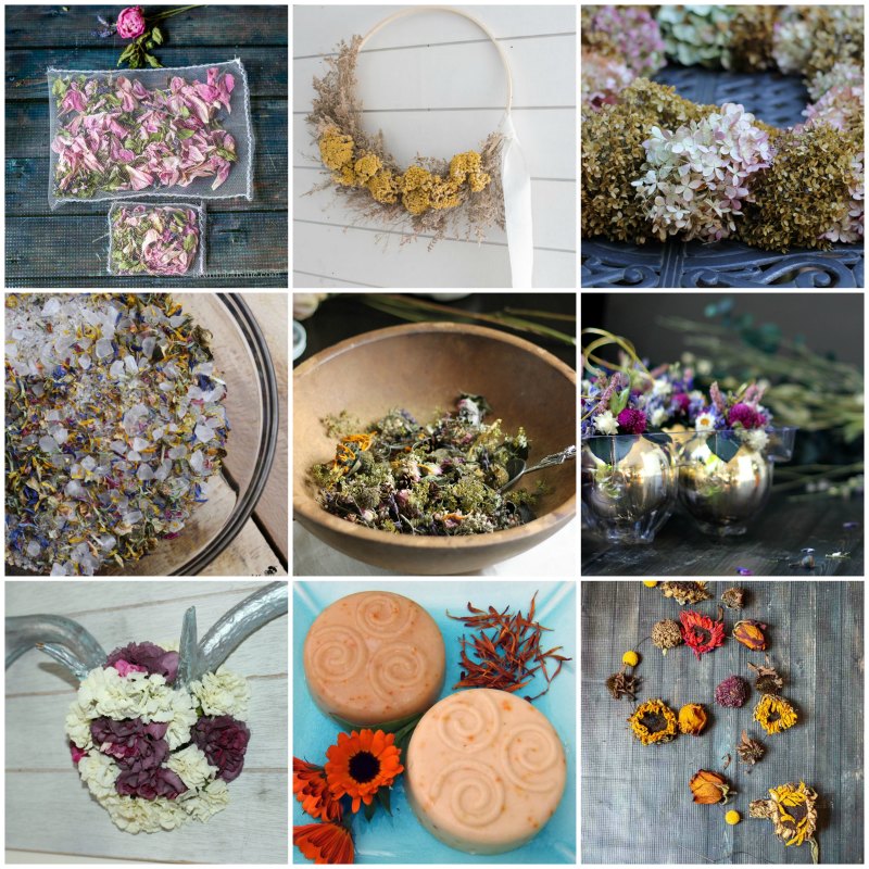 Crafting Art with Beautiful Dried Flowers – Sustain My Craft Habit