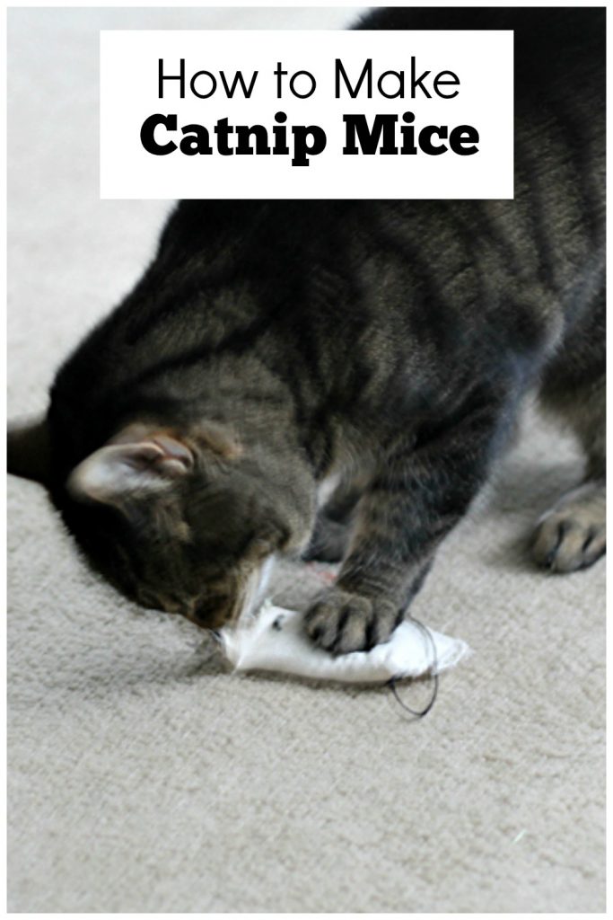Cat playing with a catnip mouse and text overlay saying  How to Make Catnip Mice