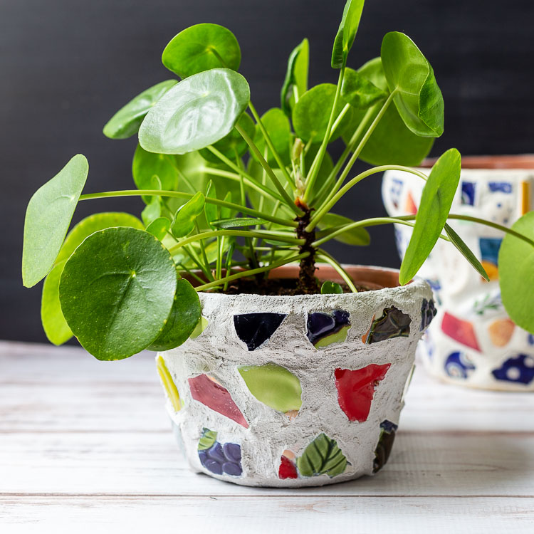 Mosaic pot with pilea plant inside.