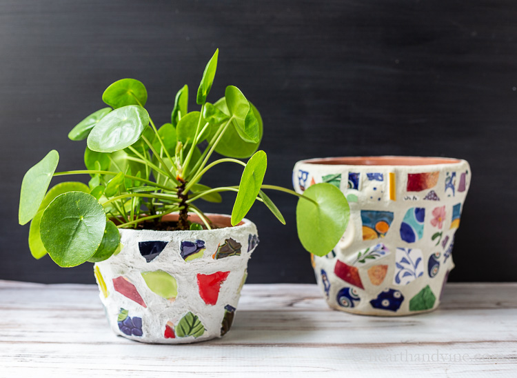 Two mosaic pots. One with a pilea plant inside.