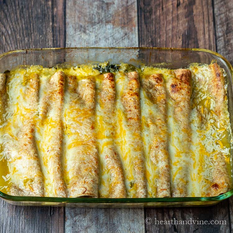 13 x 9 inch baking pan of spinach enchiladas from the oven.