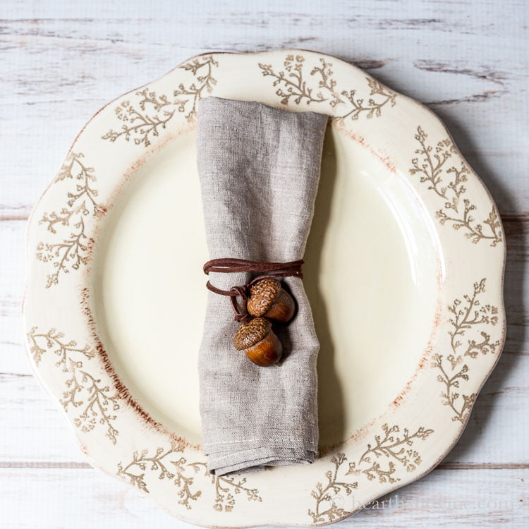 Dinner plate with a rolled napkin in the center tied with an acorn cord wrap.