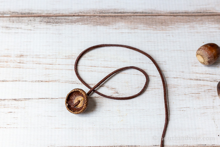 Brown suede lace threaded through an acorn cap.