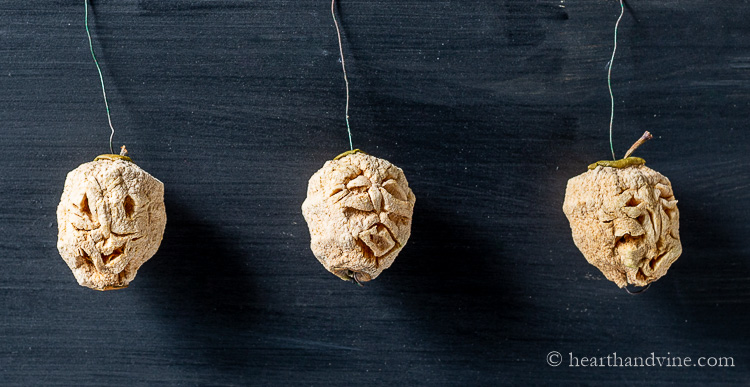 Dried apple heads after 3 weeks with wire hooks.