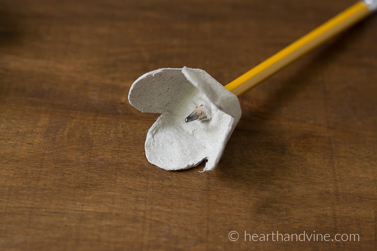 Poking a hole in the bottom of egg carton section with a pencil