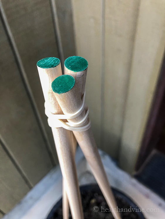 The tops of three dowel rods held together with a rubber band.
