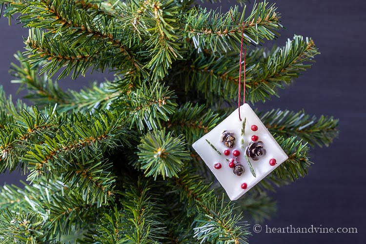 Winter botanical wax square with a red wax twine hanger on an artificial Christmas tree.