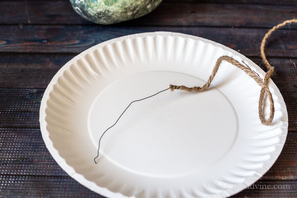 Green wire attached to the end of twine on a paper plate.
