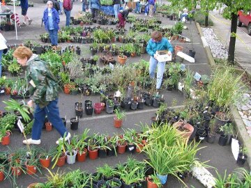 People in a plant sales with pots one the ground.