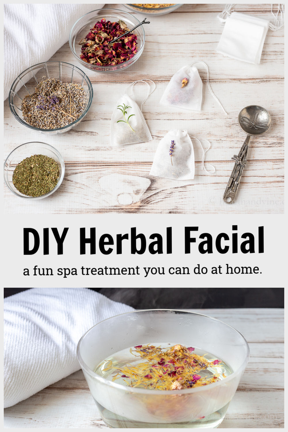 Herbs for Face Steaming Enjoy a Spa Treatment at Home