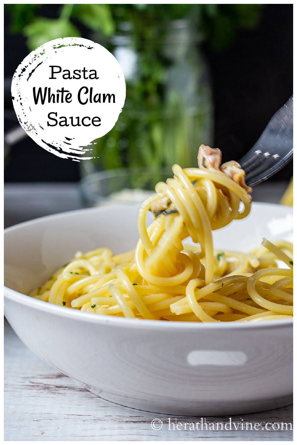 Spaghetti with Clams A Favorite Seafood Recipe