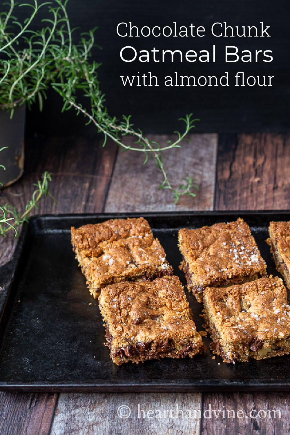 Rich Chocolate Oatmeal Bar Recipe with Almond Flour and Walnuts