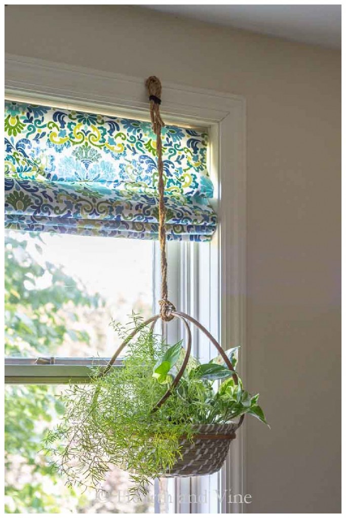 Plants in hanging basket made with large embroidery hoops.