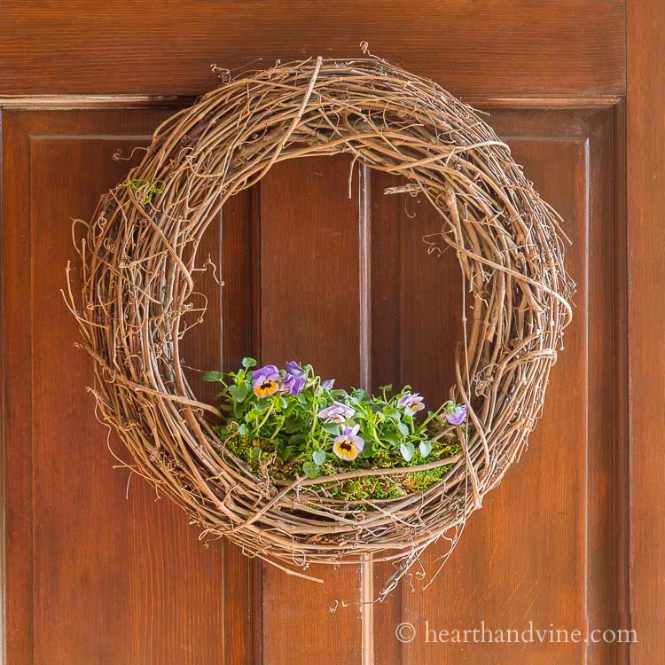 A grapevine wreath with violas growing in the bottom center on a wood door.