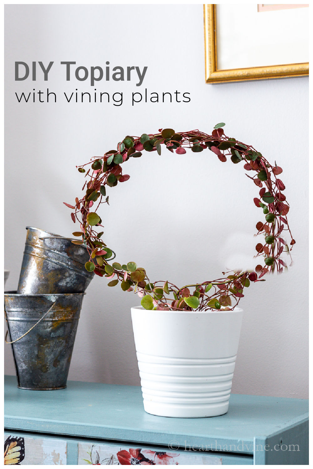 How to Make a Wire Topiary for Your Vining Houseplants