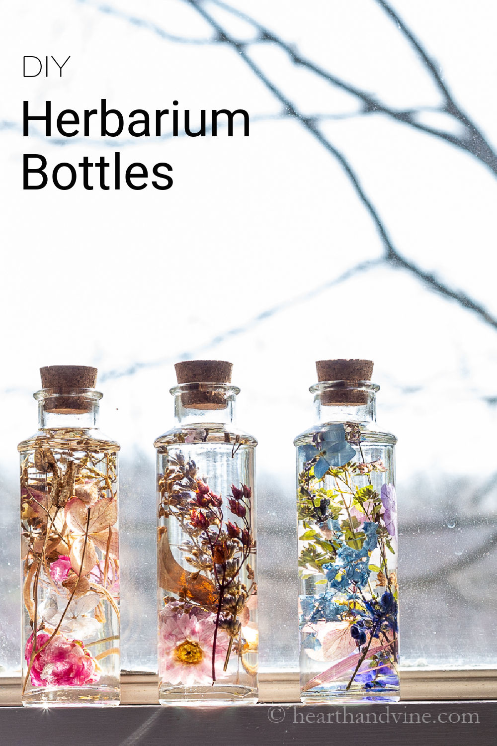 Japanese Herbarium Bottles Dried Flowers in Oil