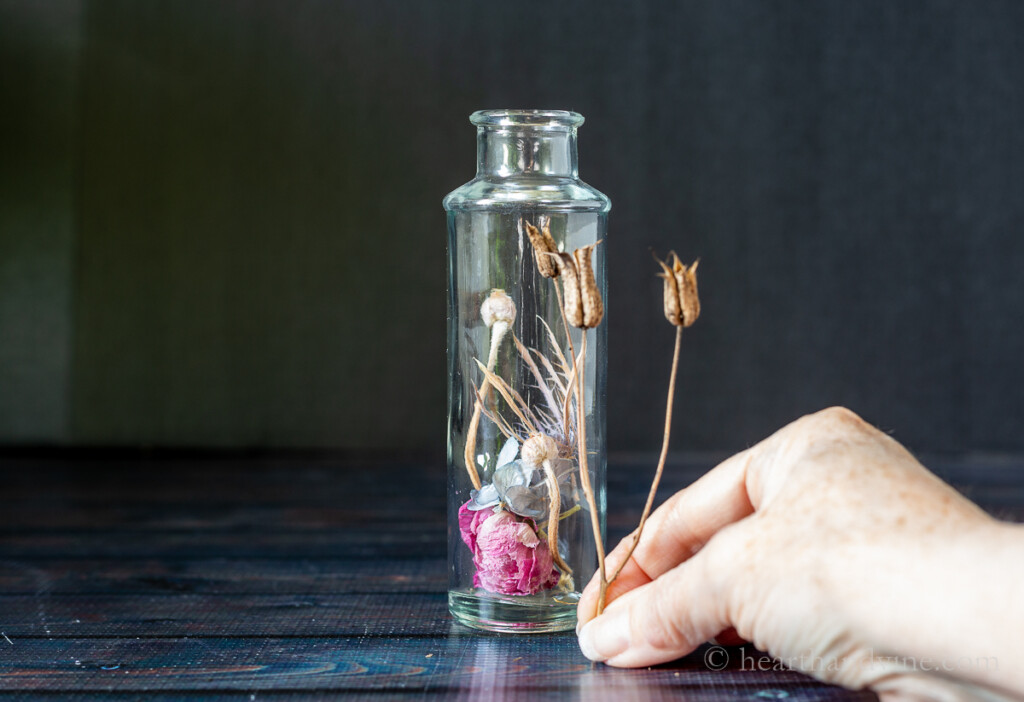 Glass bottle with a few dried flowers inside. A hand with another dried flower is measured against the outside of the bottle for height.