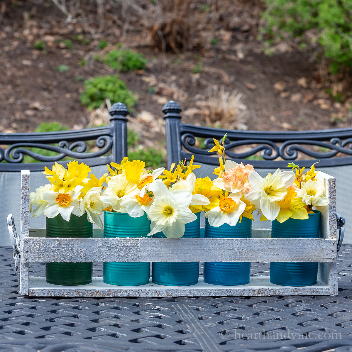 Daffodils in five colored tin cans in a pallet wood caddy