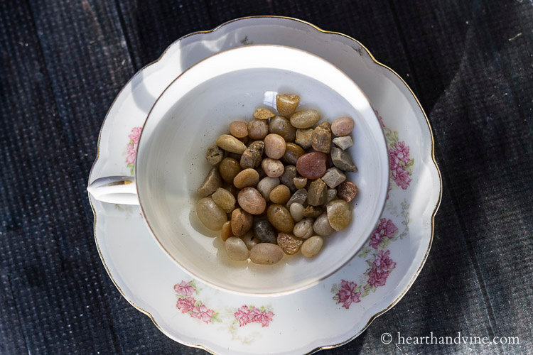 Aerial view of a teacup and saucer. There are a handful of small stone in the cup.