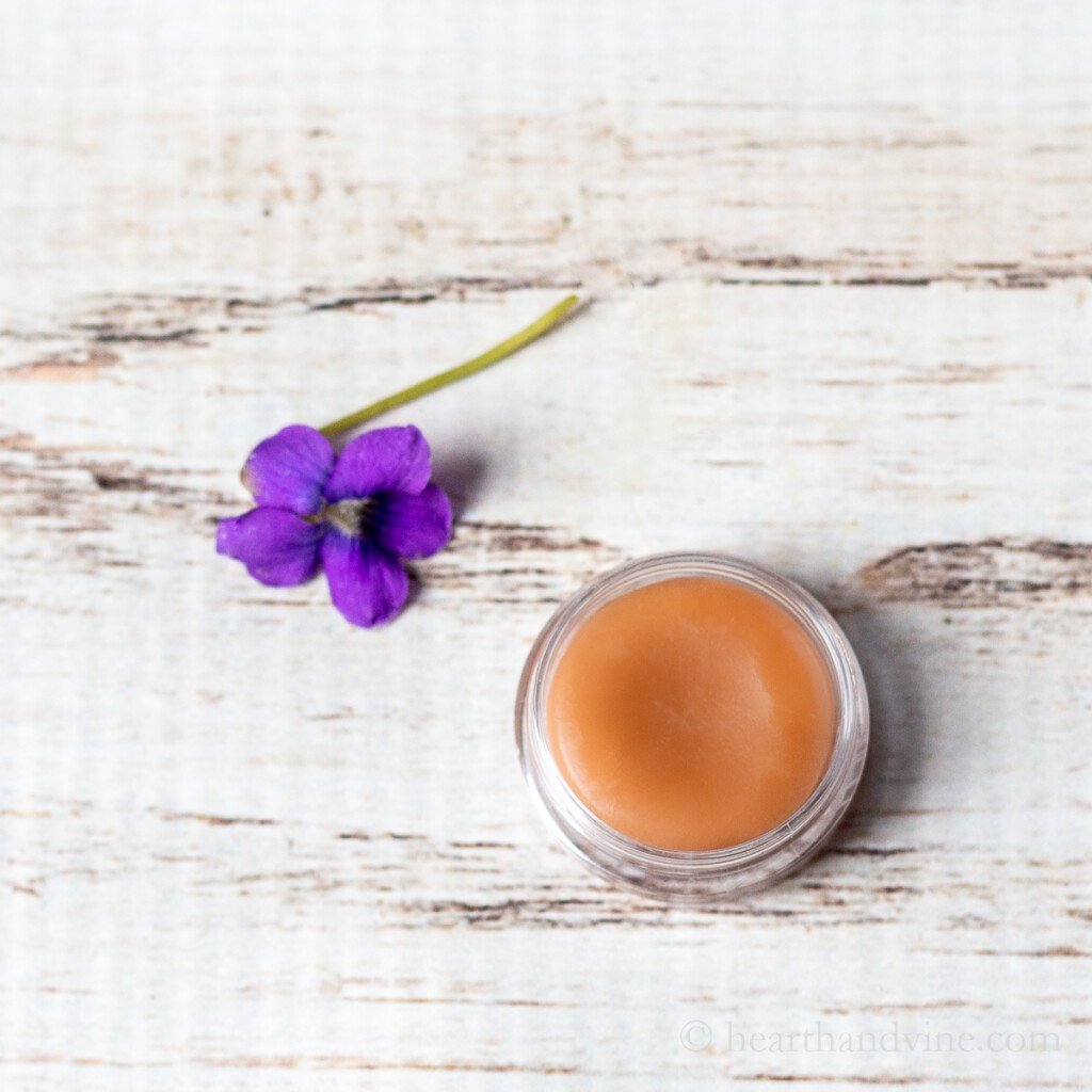 One fresh violet flower next to a small round container of homemade violet lip balm or salve. 