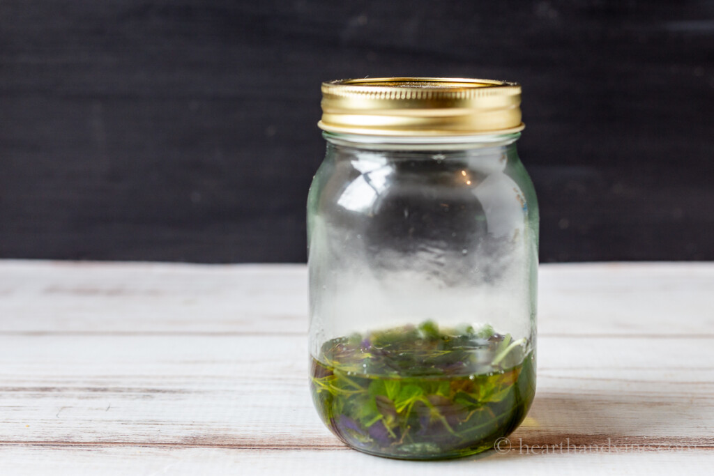 Violets in jojoba in a mason jar.