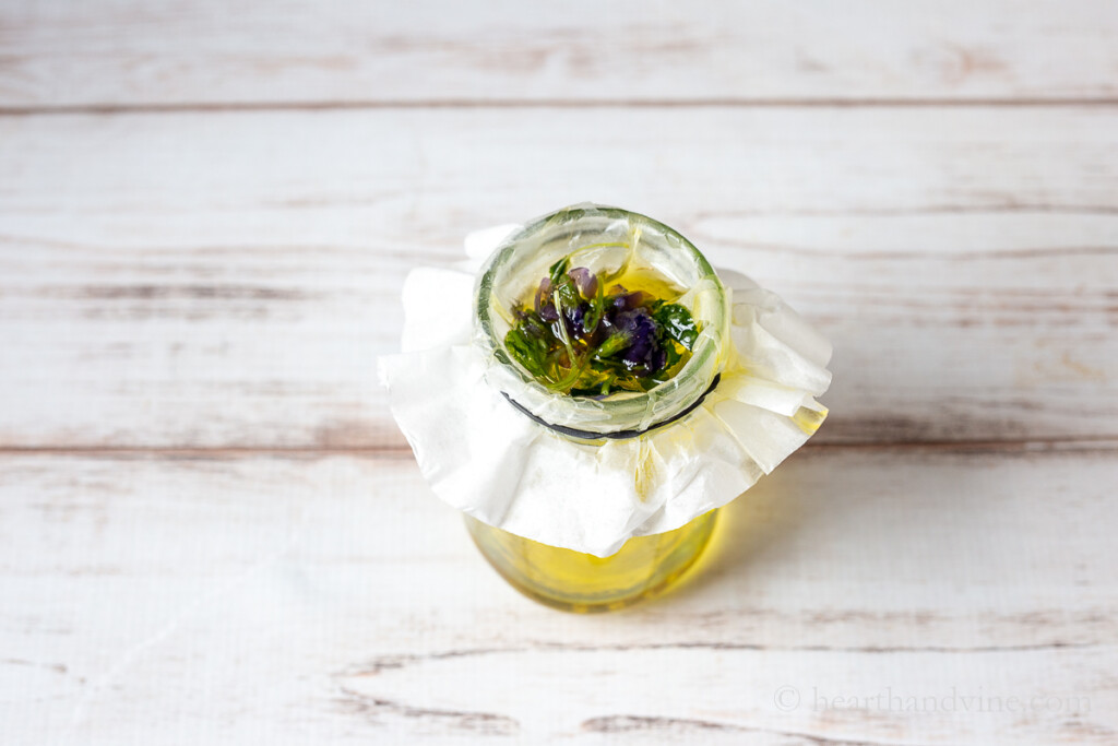 Straining plant material from oil with a coffee filter in mason jar.