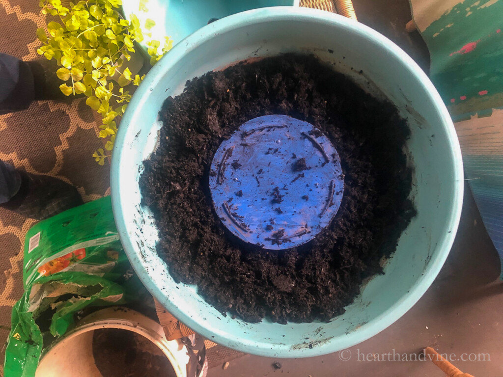 Potting soil is placed around the blue plastic pot in a large clay pot.
