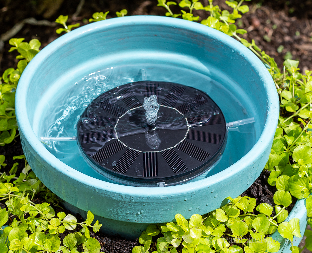 Blue pot solar water fountain in garden.