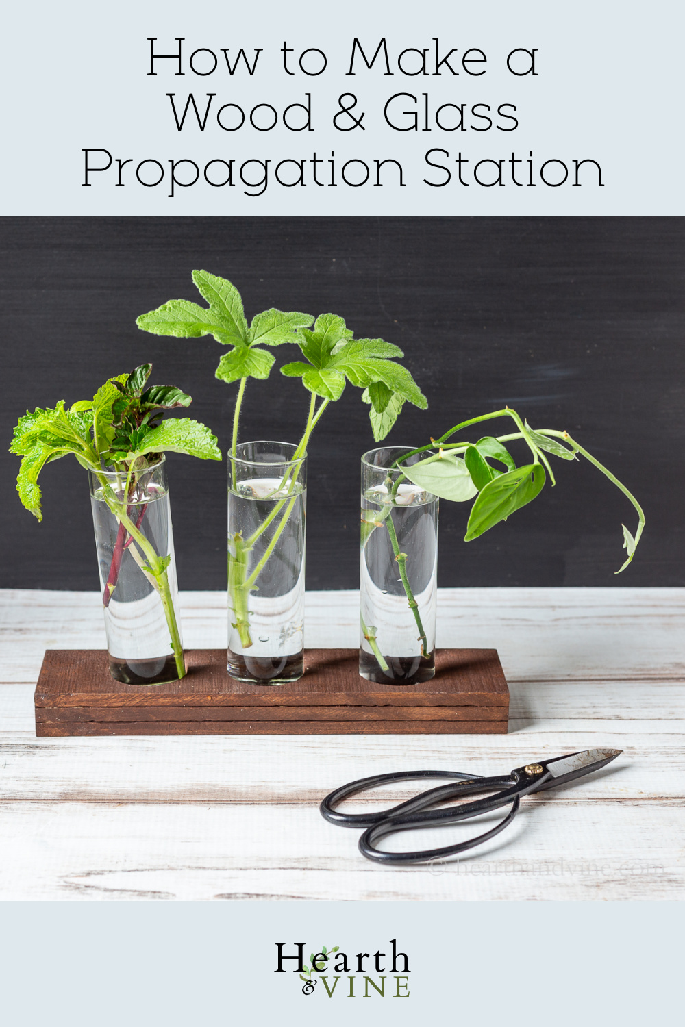 DIY Propagation Station Free Plants and Home Decor in One