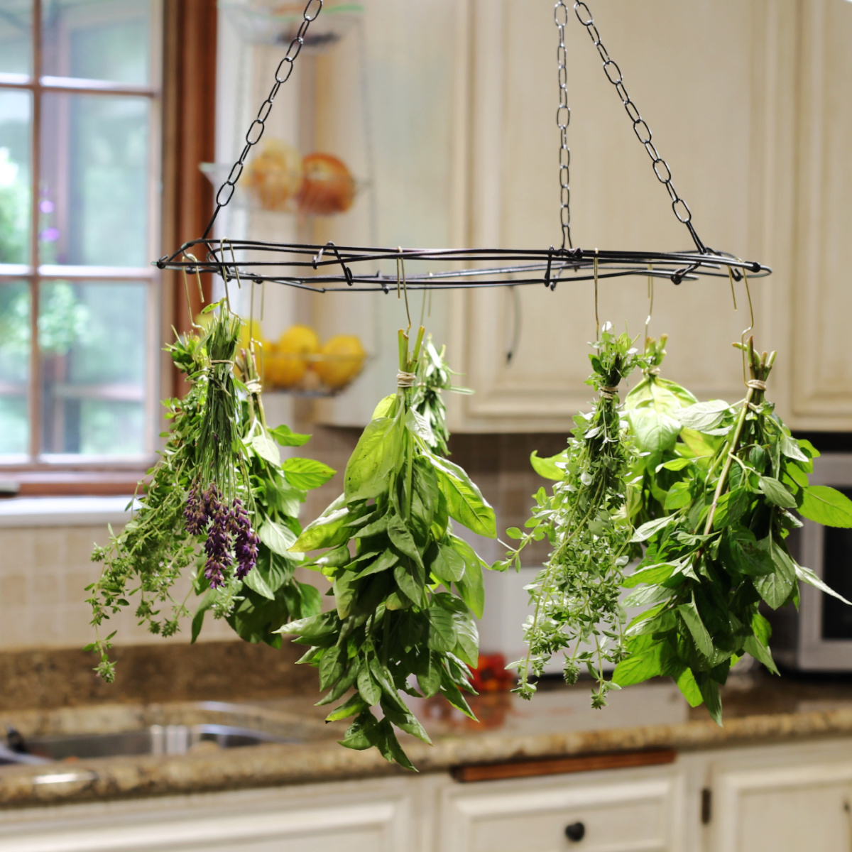 Fresh herbs in bundles hanging from a wire rack in the kitchen