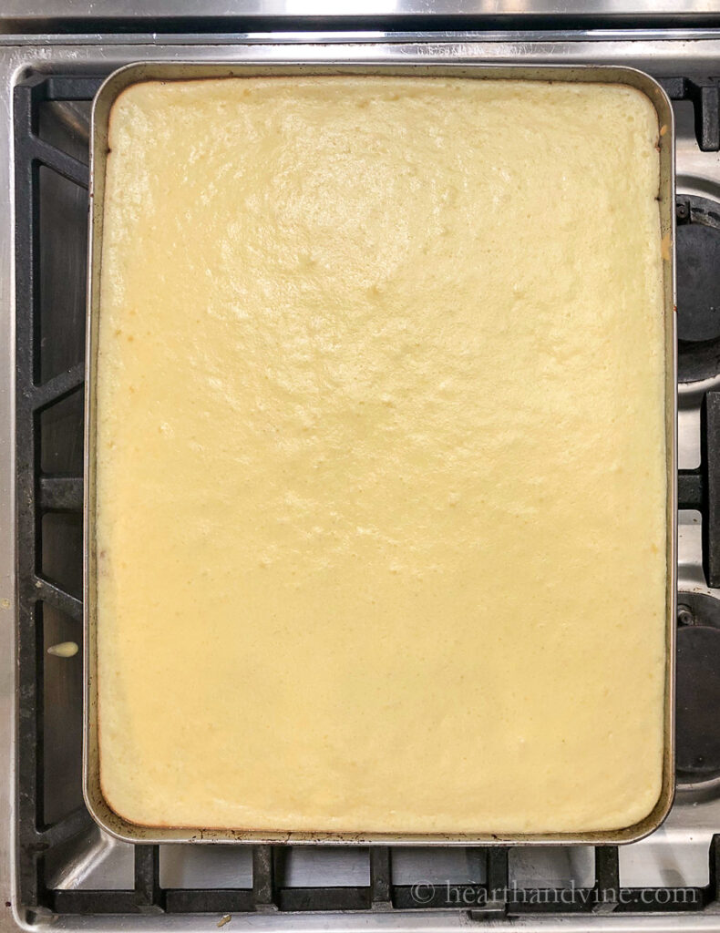 Jelly roll pan with creamy cheesecake filling on top after baking in the oven.