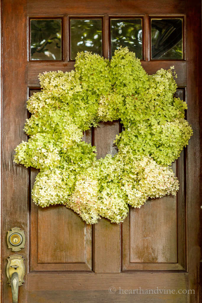 Large Limelight hydrangea wreath on a front door.