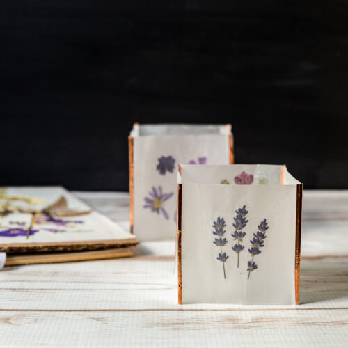 Pressed Flower Luminaria You Can Easily Make at Home
