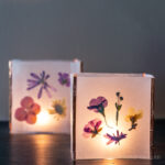 Two pressed flower luminaria