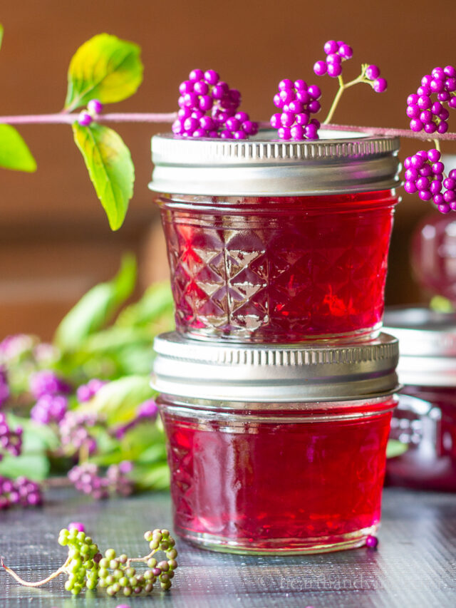 Beautyberry Jelly Recipe
