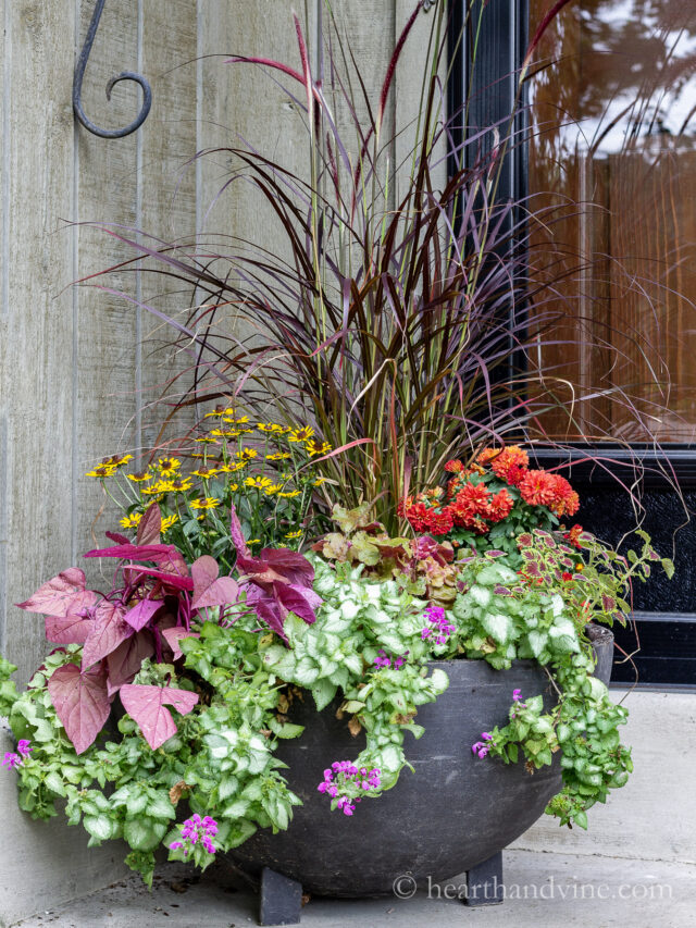 DIY Fall Planter Tips and Ideas