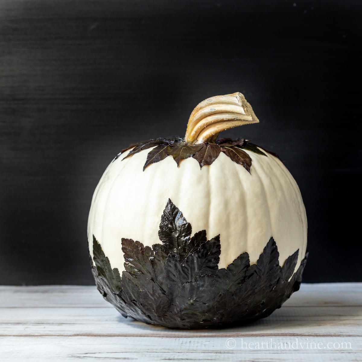 small white decorative pumpkins