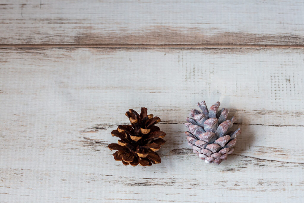 Two pinecones. One natural and the second is colored with white paint.