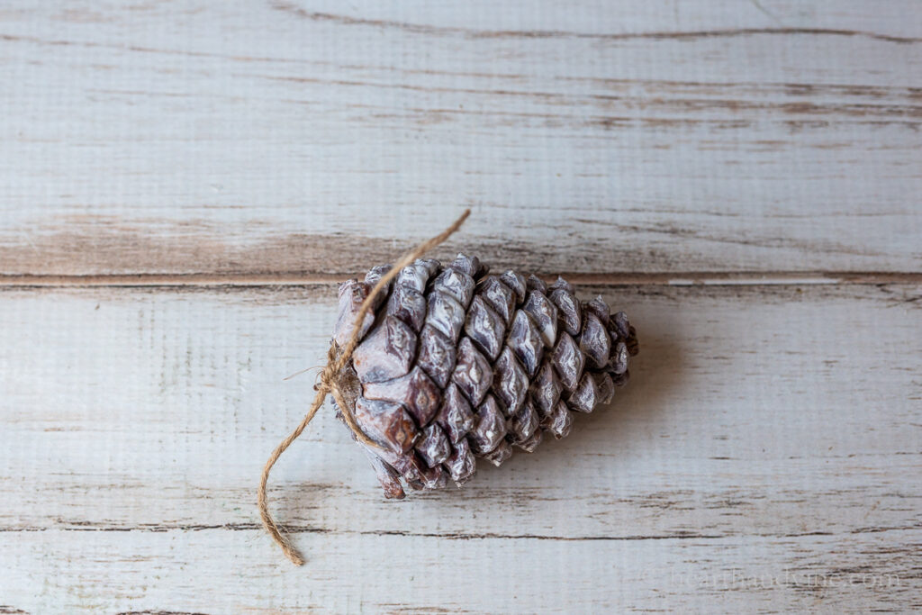Faux bleached pinecone with twine hanger.