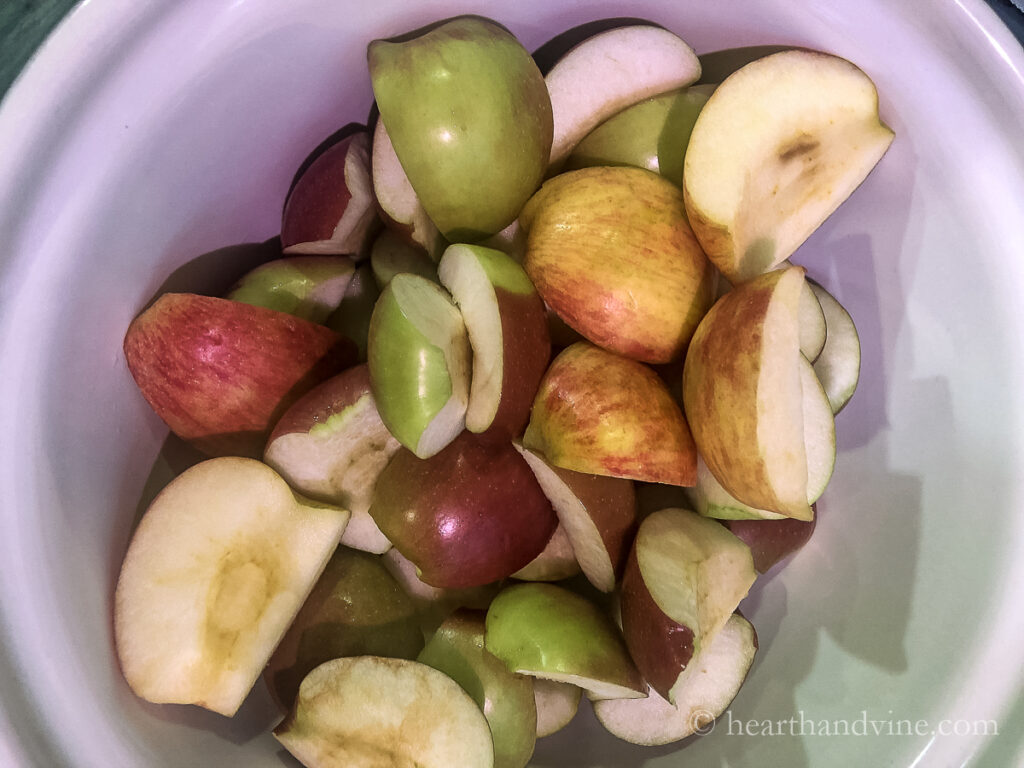 Bowl of macintosh apples and honeycrisp apples.